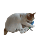 猫のべる2（個別スタンプ：9）