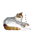 猫のべる2（個別スタンプ：10）