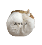 猫のべる2（個別スタンプ：18）