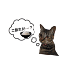 ちぃちゃん❣️（個別スタンプ：1）