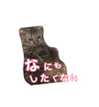 ちぃちゃん❣️（個別スタンプ：2）
