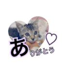ちぃちゃん❣️（個別スタンプ：4）
