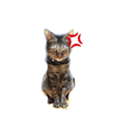 ちぃちゃん❣️（個別スタンプ：5）