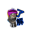 ちぃちゃん❣️（個別スタンプ：6）