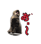 ちぃちゃん❣️（個別スタンプ：8）