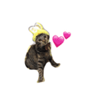 ちぃちゃん❣️（個別スタンプ：9）
