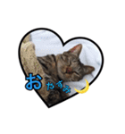 ちぃちゃん❣️（個別スタンプ：10）