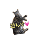 ちぃちゃん❣️（個別スタンプ：11）