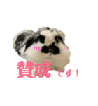 うさぎさん（なつめ）2（個別スタンプ：2）