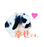 うさぎさん（なつめ）2（個別スタンプ：3）