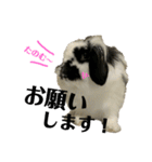 うさぎさん（なつめ）2（個別スタンプ：5）