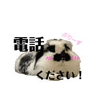 うさぎさん（なつめ）2（個別スタンプ：7）
