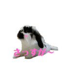 うさぎさん（なつめ）2（個別スタンプ：9）