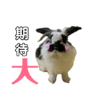 うさぎさん（なつめ）2（個別スタンプ：10）