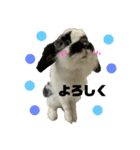 うさぎさん（なつめ）2（個別スタンプ：12）