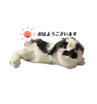 うさぎさん（なつめ）2（個別スタンプ：13）