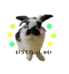 うさぎさん（なつめ）2（個別スタンプ：14）