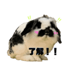 うさぎさん（なつめ）2（個別スタンプ：15）