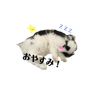うさぎさん（なつめ）2（個別スタンプ：18）