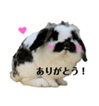 うさぎさん（なつめ）2（個別スタンプ：20）
