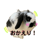 うさぎさん（なつめ）2（個別スタンプ：21）