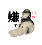 うさぎさん（なつめ）2（個別スタンプ：27）