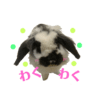 うさぎさん（なつめ）2（個別スタンプ：29）