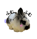 うさぎさん（なつめ）2（個別スタンプ：33）
