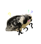 うさぎさん（なつめ）2（個別スタンプ：34）