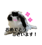 うさぎさん（なつめ）2（個別スタンプ：35）