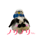 うさぎさん（なつめ）2（個別スタンプ：36）