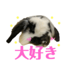 うさぎさん（なつめ）2（個別スタンプ：38）