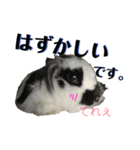 うさぎさん（なつめ）2（個別スタンプ：39）