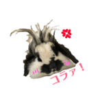 うさぎさん（なつめ）2（個別スタンプ：40）