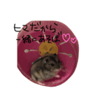 ayapoooon（個別スタンプ：7）