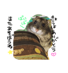 ayapoooon（個別スタンプ：8）