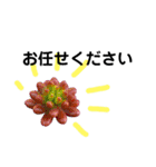 お花が好き3（個別スタンプ：4）