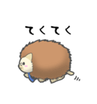 ハリネズミ ★ とげすけの日常（個別スタンプ：9）