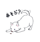 ムクムクの白いワンコ（個別スタンプ：3）