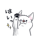 ムクムクの白いワンコ（個別スタンプ：12）