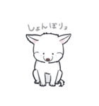 ムクムクの白いワンコ（個別スタンプ：17）