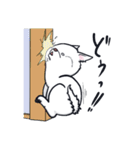 ムクムクの白いワンコ（個別スタンプ：20）