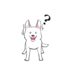 ムクムクの白いワンコ（個別スタンプ：21）