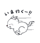 ムクムクの白いワンコ（個別スタンプ：24）