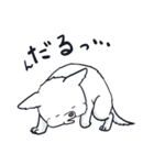 ムクムクの白いワンコ（個別スタンプ：28）