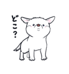 ムクムクの白いワンコ（個別スタンプ：30）