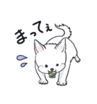 ムクムクの白いワンコ（個別スタンプ：31）