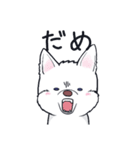 ムクムクの白いワンコ（個別スタンプ：36）