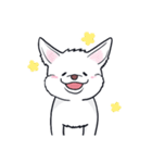 ムクムクの白いワンコ（個別スタンプ：37）
