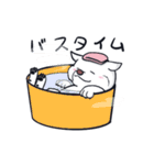 ムクムクの白いワンコ（個別スタンプ：39）